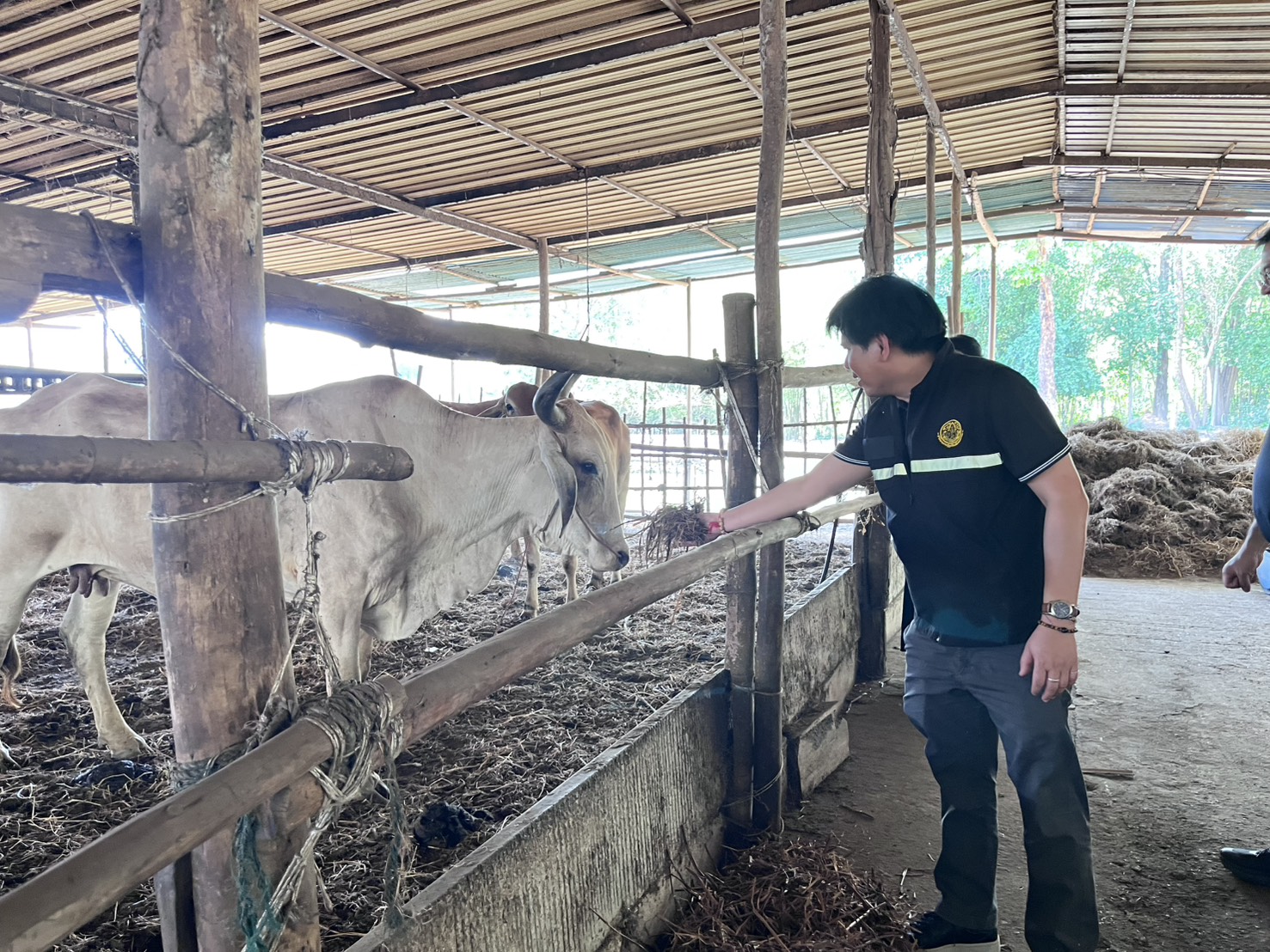 title - วันอังคารที่ 31 มีนาคม 2569 นายวิทูล ประดิษฐบุญ ปฏิรูปที่ดินจัังหวัดปราจีนบุรี พร้อมด้วย เจ้าหน้าที่ ส.ป.ก.ปราจีนบุรี เข้าร่วม กิจกรรมเปิดโครงการ Kick off การใช้ประโยชน์ จากฟางข้าวตาม 